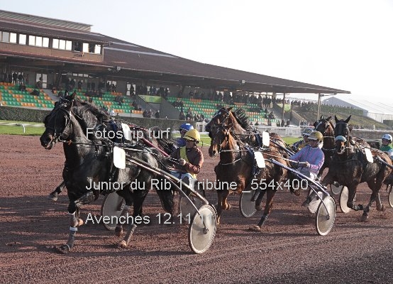 Junior du Rib 1 Trib